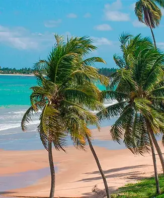 Praia de Japaratinga, Alagoas