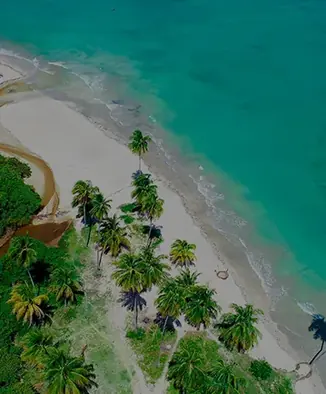 Praia de São Miguel dos Milagres, Alagoas