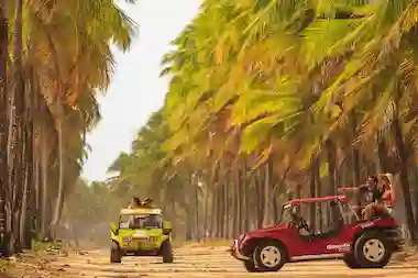 Passeio de buggy em Maragogi